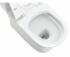 Carlite One Piece Toilets