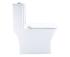 Cinova One Piece Toilets
