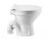 Conventional S Trap Floor Mounting Toilets