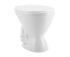 Camelia S Trap Floor Mounting Toilets